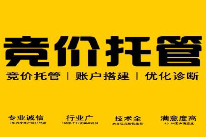 探索SEM竞价员的核心工作与案例分析